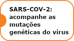 Sars-cov-2: acompanhe as mutações genéticas do vírus.